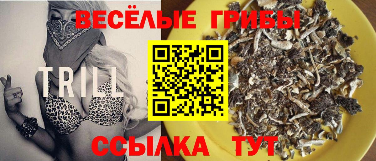 Галлюциногенные грибы мухоморы  Псилоцибиновые грибы Cubensis  Котовск  Вход с VPN 