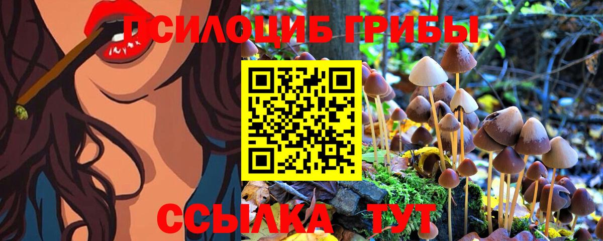 Псилоцибиновые грибы MAGIC MUSHROOMS Котовск